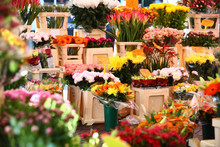 Flower Market In Amsterdam
