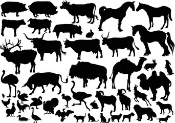 Wall Mural - collection of farm animals silhouettes