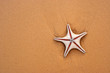 Starfish and sand