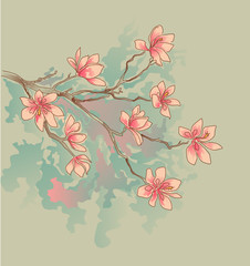Plakat kwiat wzór natura obraz magnolia
