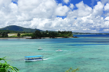 Wall Mural - sea of okinawa