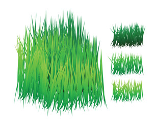 grass vector