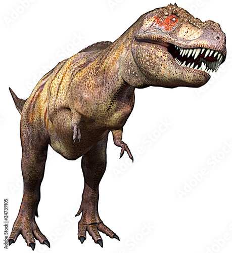 Obraz w ramie Drapieżny dinozaur na białym tle