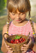 little girl and the basket of wild strawberries