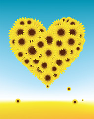 Wall Mural - Sunflowers heart shape for your design, summer field