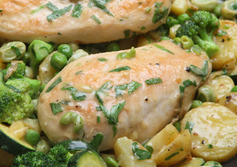 Wall Mural - Pan-Fried Tarragon Chicken Breasts