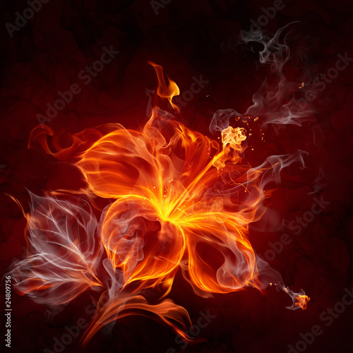 Nowoczesny obraz na płótnie Fire flower