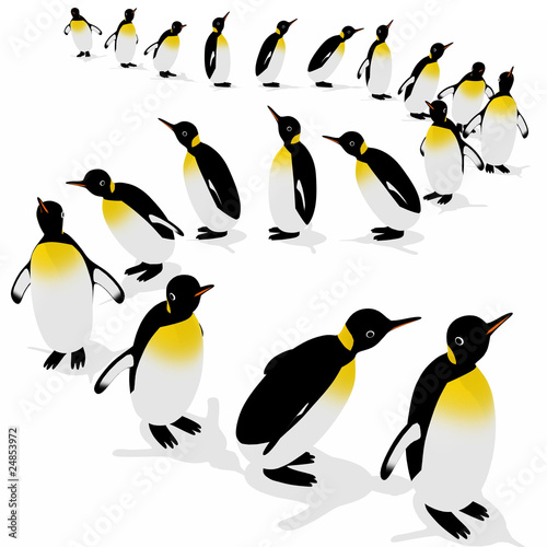 ペンギン アドビストックのデザイン かべいろ Com おしゃれ壁紙リフォーム貼り替え インクジェット壁紙のかべいろ Com