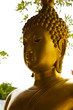 buddism statue