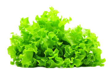 bunch of green salad isolated over white