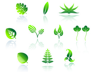 Sticker - Set of leaves icons