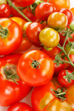 Fototapeta Kuchnia - fresh tomatoes