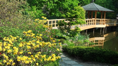 Naklejka dekoracyjna Japanese garden