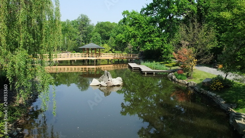 Obraz w ramie Japanese garden