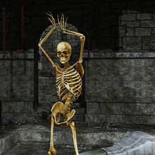 Skeleton In The Dungeon
