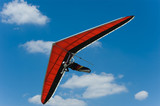 Paraglider