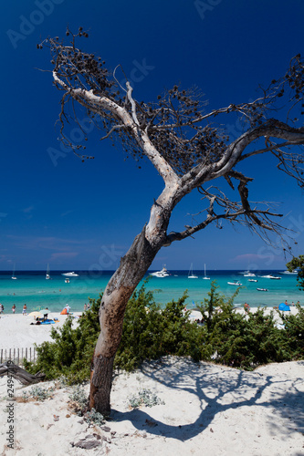 Plage De Saleccia En Haute Corse Buy This Stock Photo And