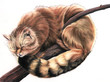 © carlafcastagno - Gatto selvatico su un ramo