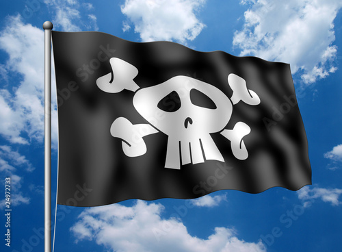 einzelne bedruckte Lamellen - Piratenflagge (von mirkomedia)