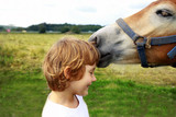 Fototapeta Zwierzęta - Girl and horse