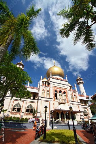 Photo Singapore Mosque with blue sky and coconut Tree Frame