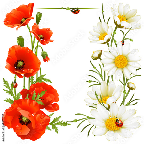 Naklejka dekoracyjna Poppy and Camomile design elements