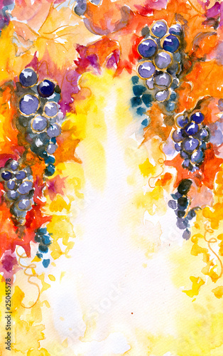 Fototapeta do kuchni background with grapes watercolors painted.