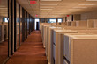 Rows of Cubicles in an Office