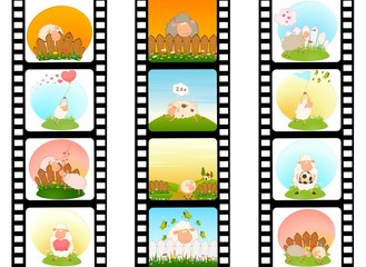 Sticker - blank film colorful strip with sheep