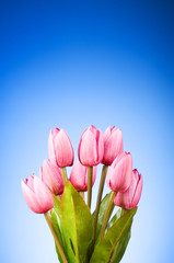 Wall Mural - Bunch of tulip flowers on the table