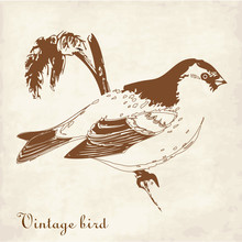 Vintage Card With A Bird