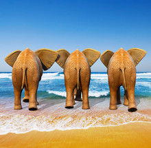 3 Elephants Backside