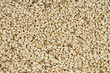 Safflower seeds close up as background