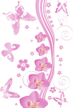 Pink Butterflies And Orchids Pattern