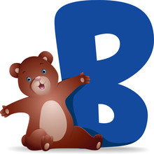 B For Bear