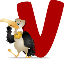 V For Vulture