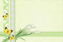 Three Calla Lilies Background