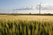 Windkraftanlagen in der Uckermark - Deutschland