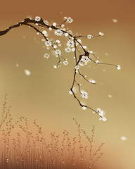 oriental style painting, plum blossom