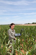 © goodluz - Agronomist in corn field