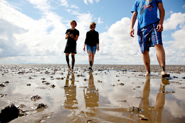 Poster - Wattwandern an der Nordsee 709