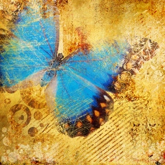 Wall Mural - golden abstraction with blue butterfly