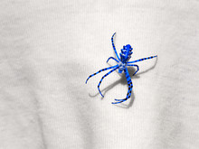 Blue Spider Sits On The Fabric In Sunlight. Processed In Editor