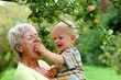Grandmother with child under apple tree