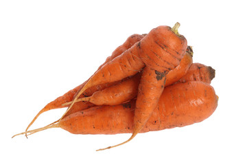 Wall Mural - carrot isolated on a white background