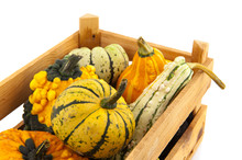 Squashes And Pumpkins In Wooden Crate