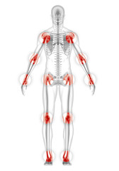 focused on human joints