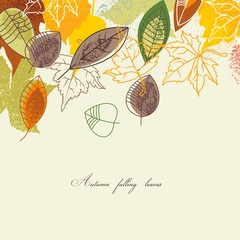 Fototapete - Autumn falling leaves background