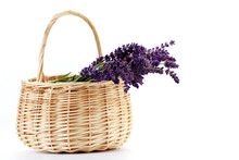 Basket With Lavender Flowers