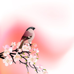 Naklejka na meble Red spring background with blossoming tree and small bird